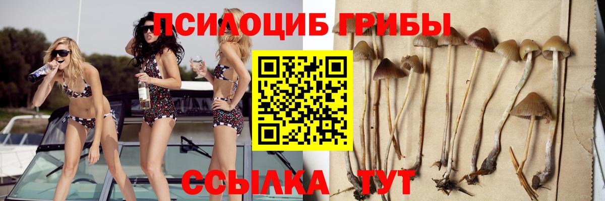 Псилоцибиновые грибы мухоморы  где найти   Вход с VPN  Кострома  Псилоцибиновые грибы Psilocybine cubensis 